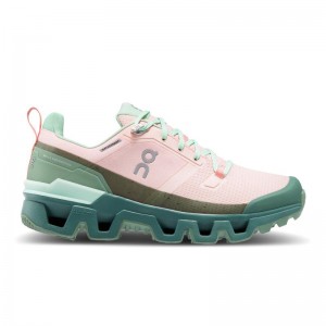 QC Cloudventure Waterproof Women's Hiking Shoes Doe | Ivy Pink | 68507-VEYS